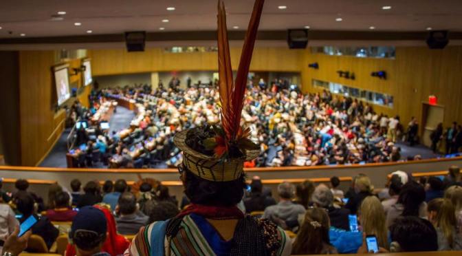 Delegação do Brasil denuncia governo Bolsonaro em Fórum Permanente sobre Questões Indígenas da ONU